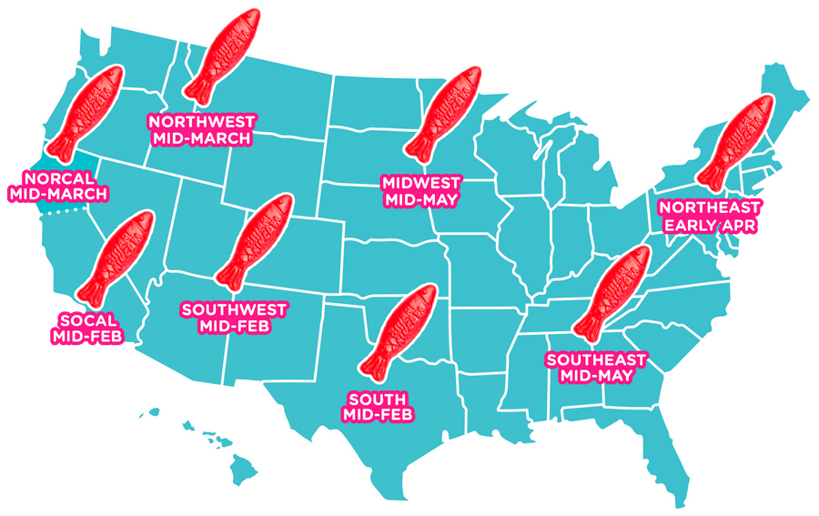 Where too buy Costco 10-pack, Costco 10 pack, Map of the United States with red regions indicating different planting times for crops, labeled with months.